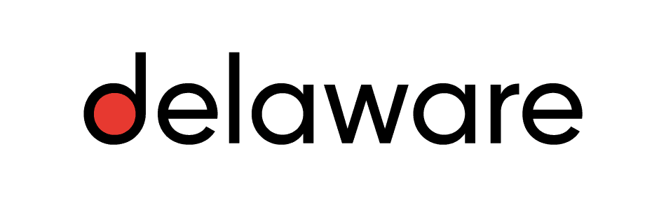 delaware Consulting Success Story